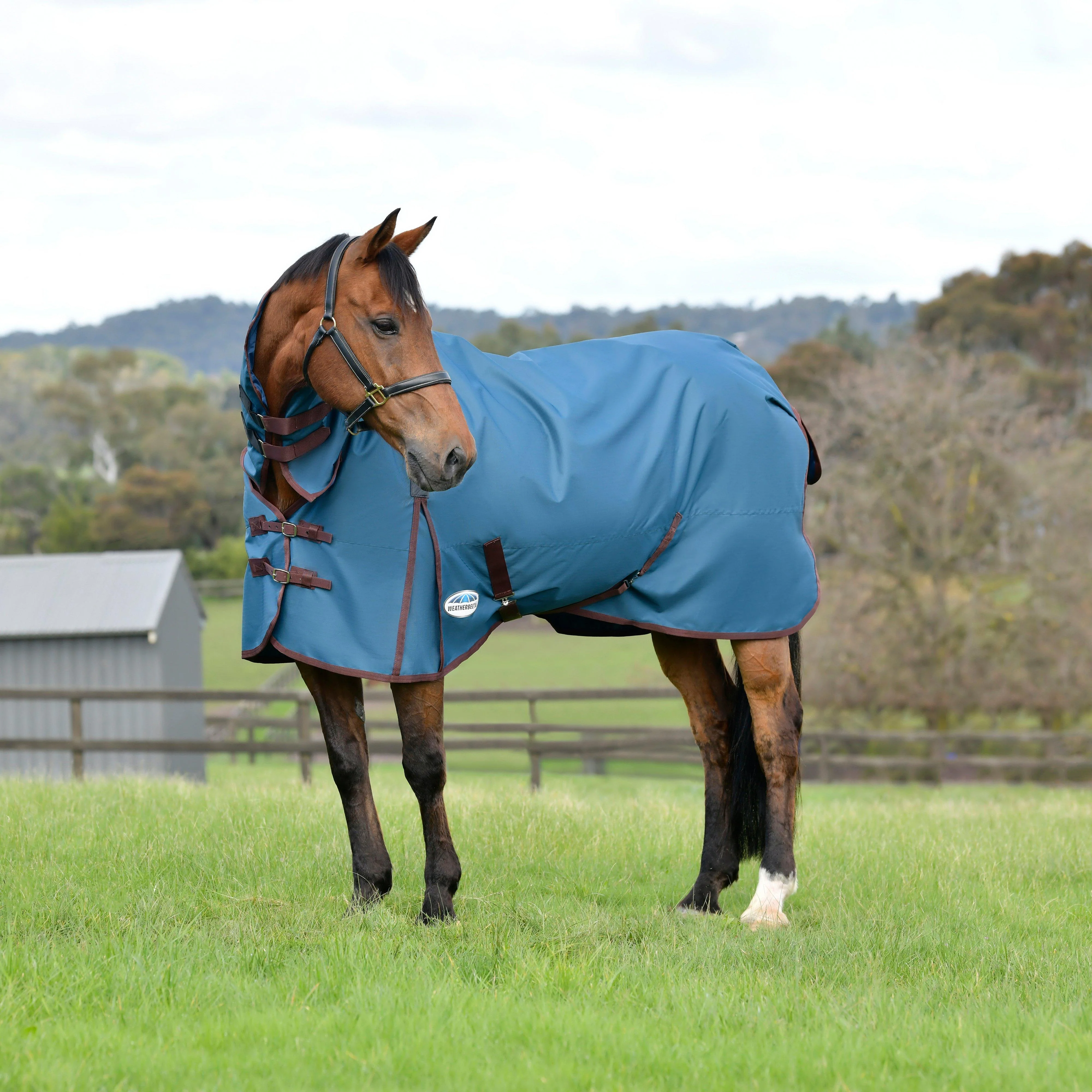 ComFiTec Classic Combo Neck 220g Mediumweight Turnout Rug Dark Blue/Coffee - Image 2