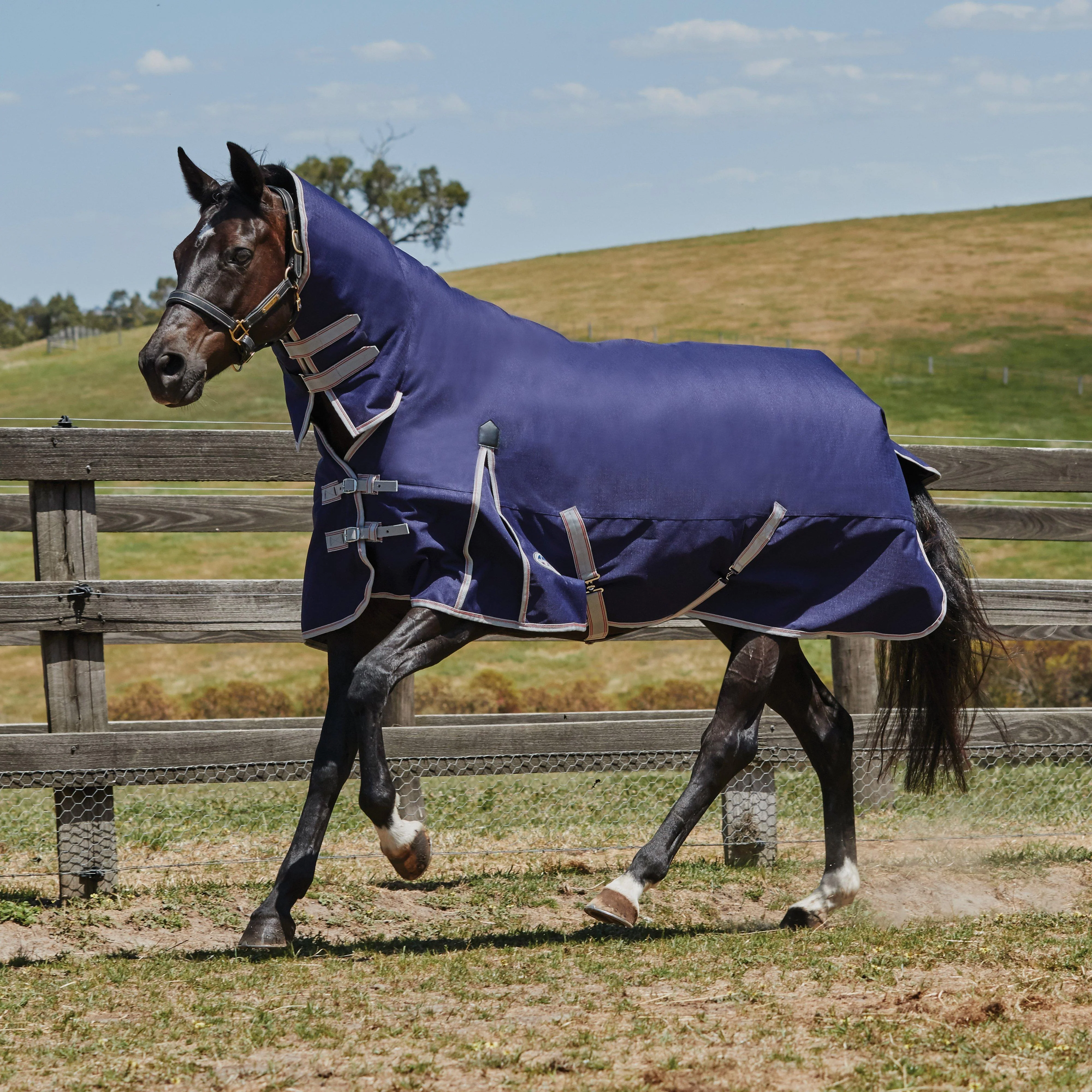 ComFiTec Essential Combo Neck Lite Plus 50g Turnout Rug Navy/Silver/Red - Image 11