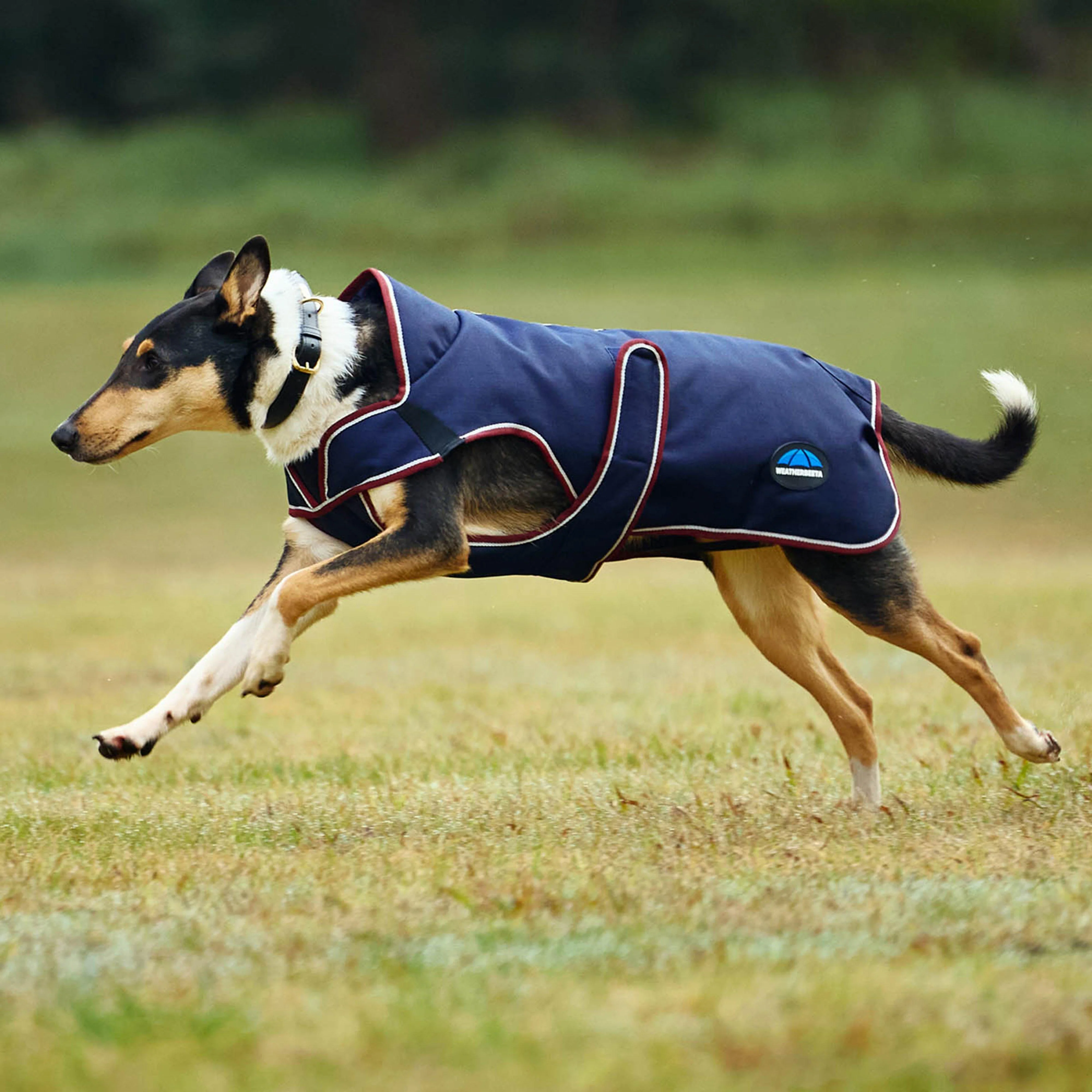 ComFiTec Premier Deluxe Waterproof Dog Coat - Image 2