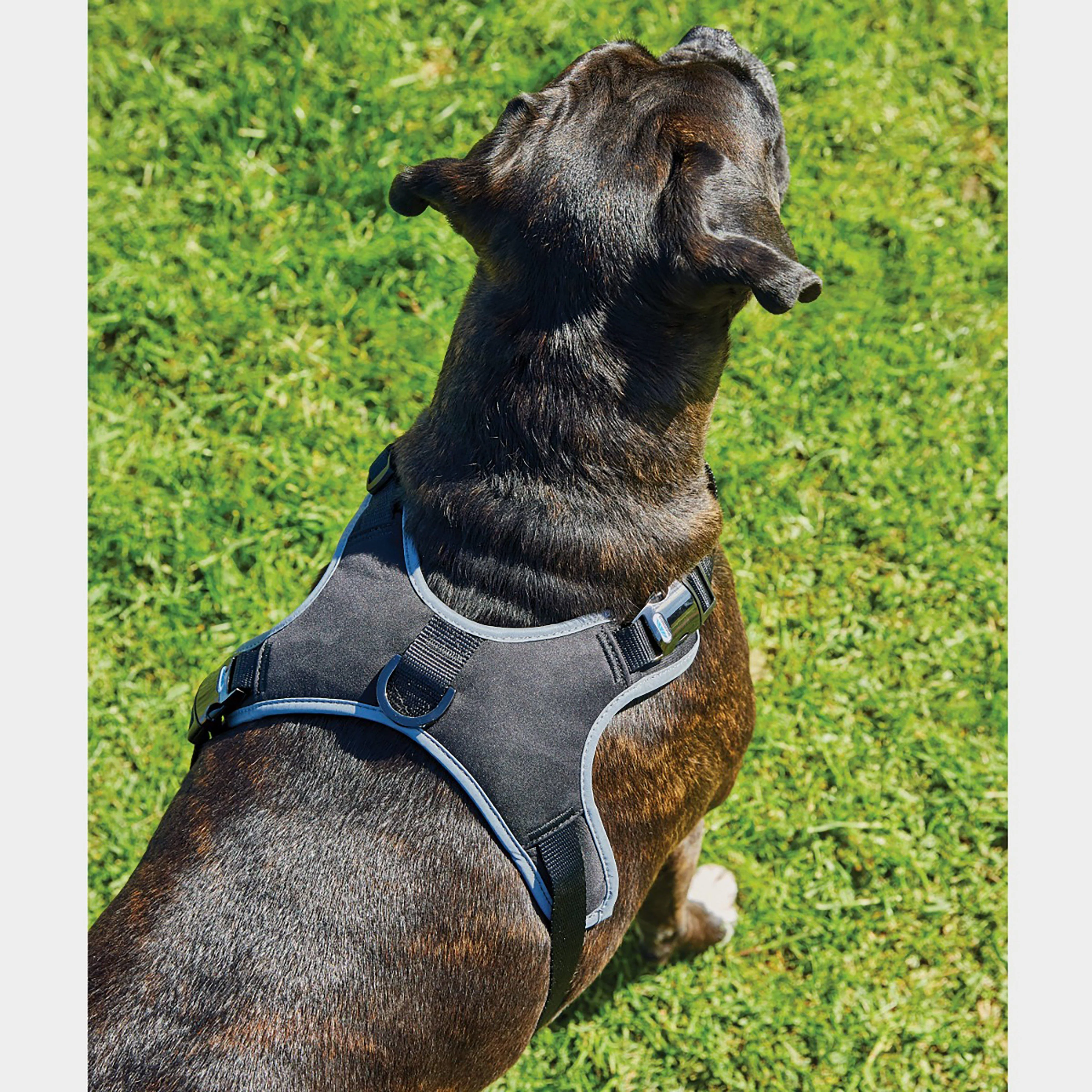 Elegance Dog Harness Black - Image 2