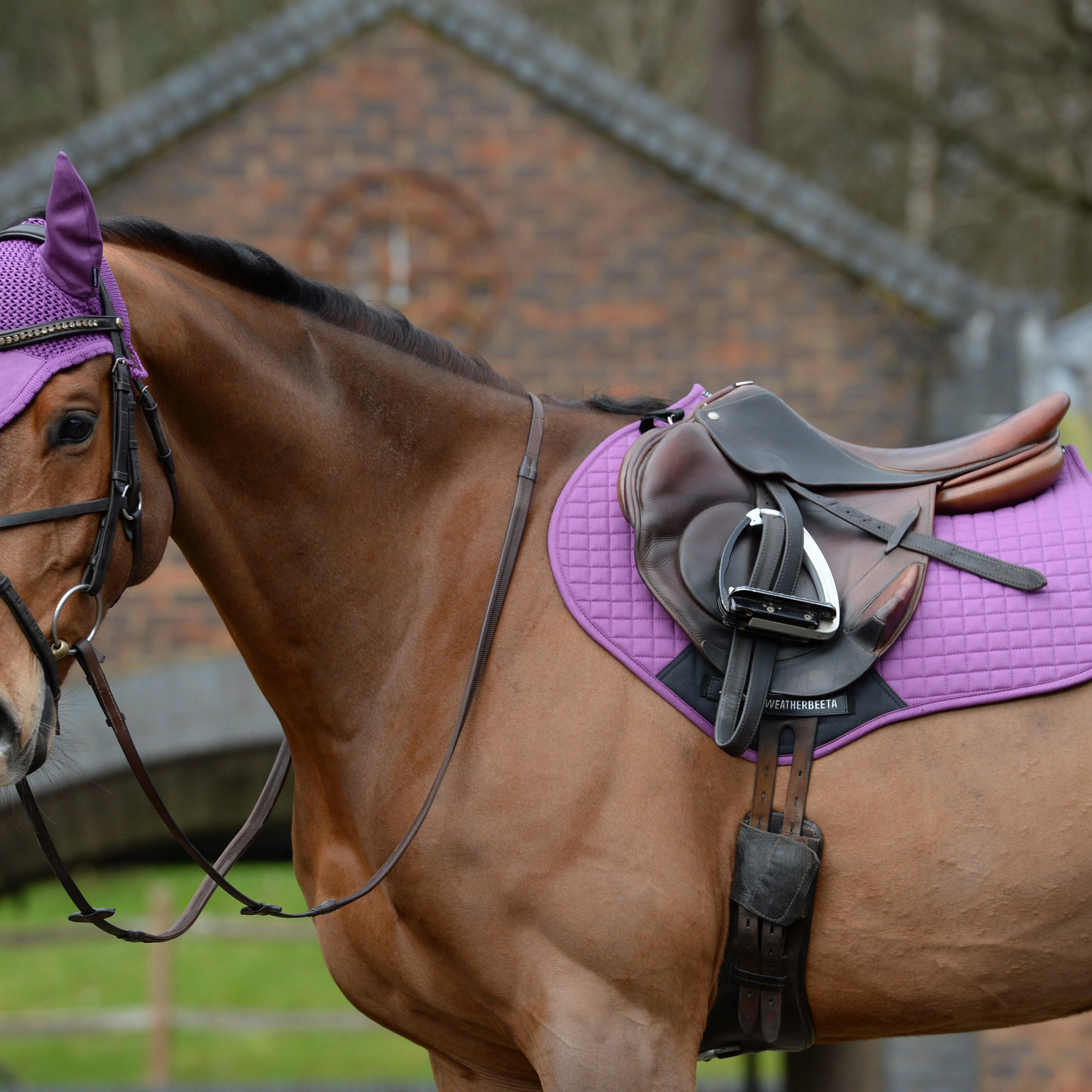 Prime Jump Saddle Pad Violet - Image 3