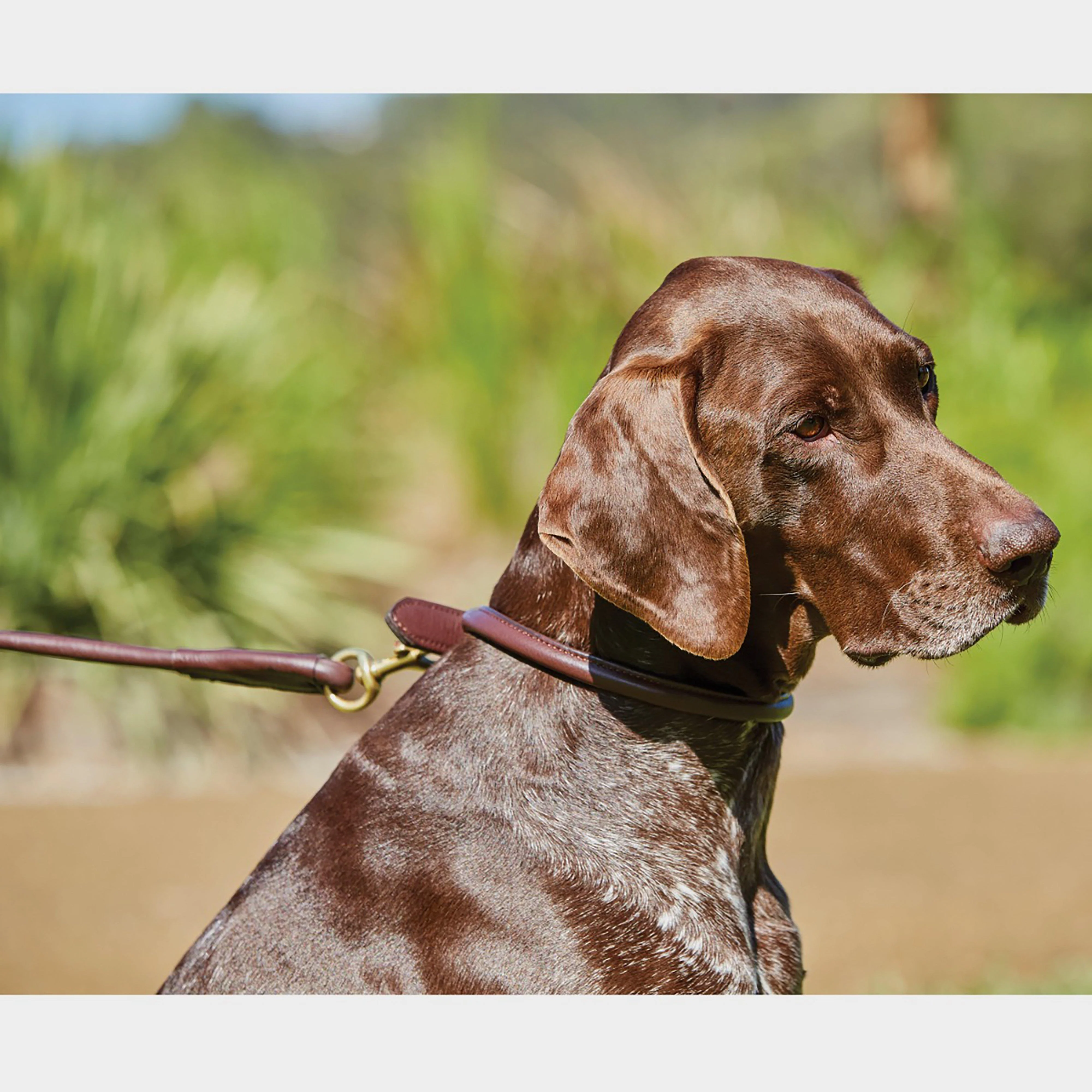 Rolled Leather Lead Brown - Image 2
