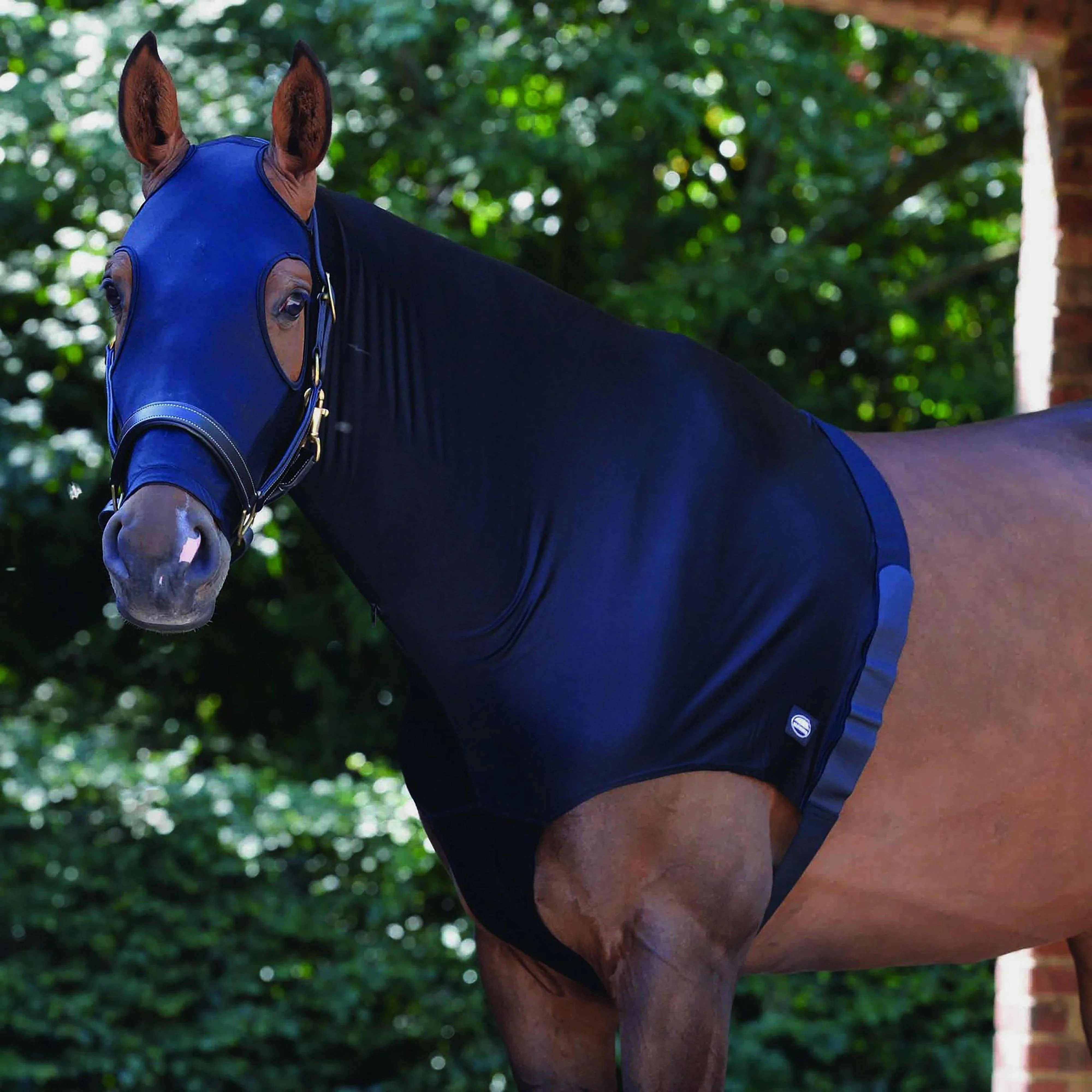 Stretch Hood With Zip Black