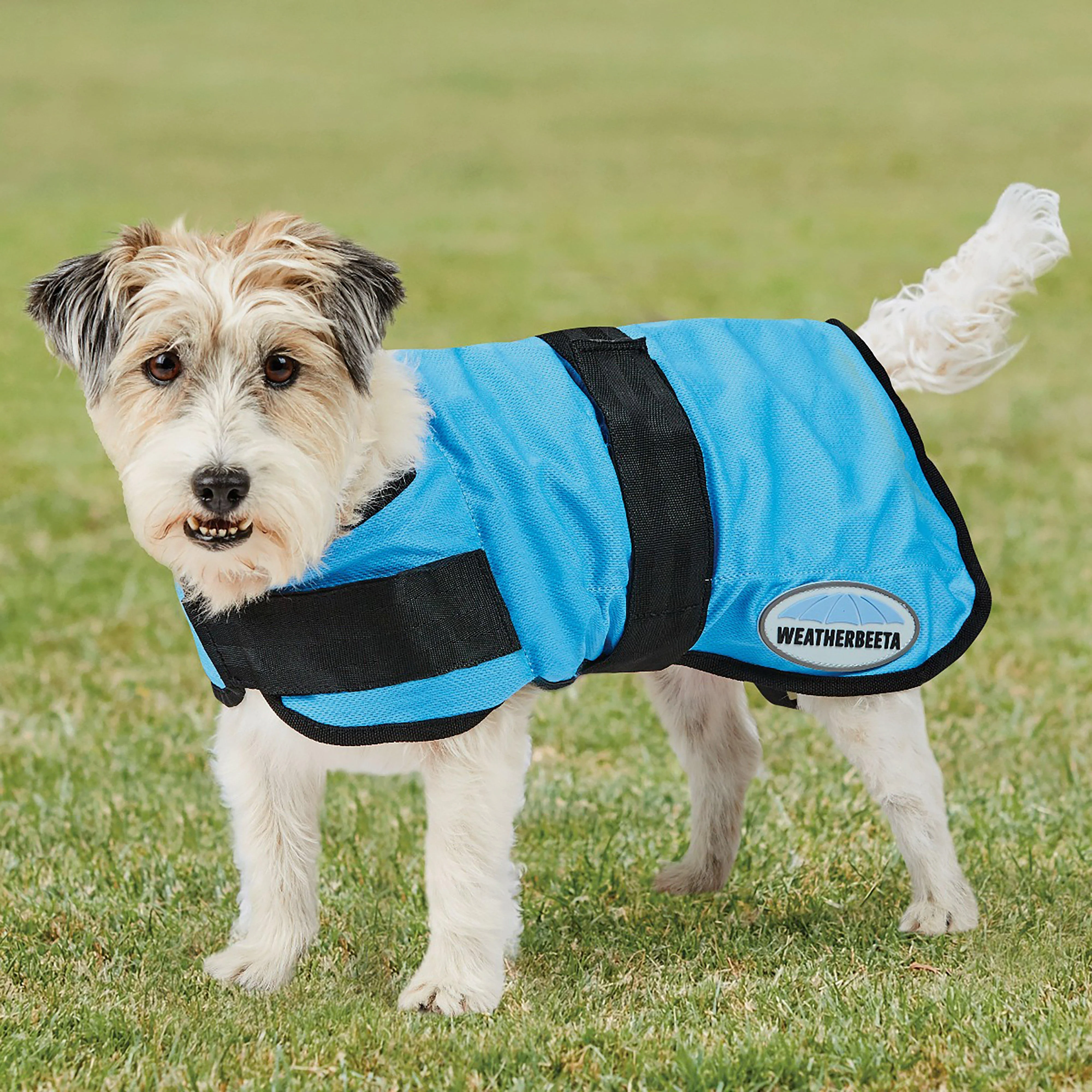 Therapy-Tec Cooling Dog Coat Blue - Image 2