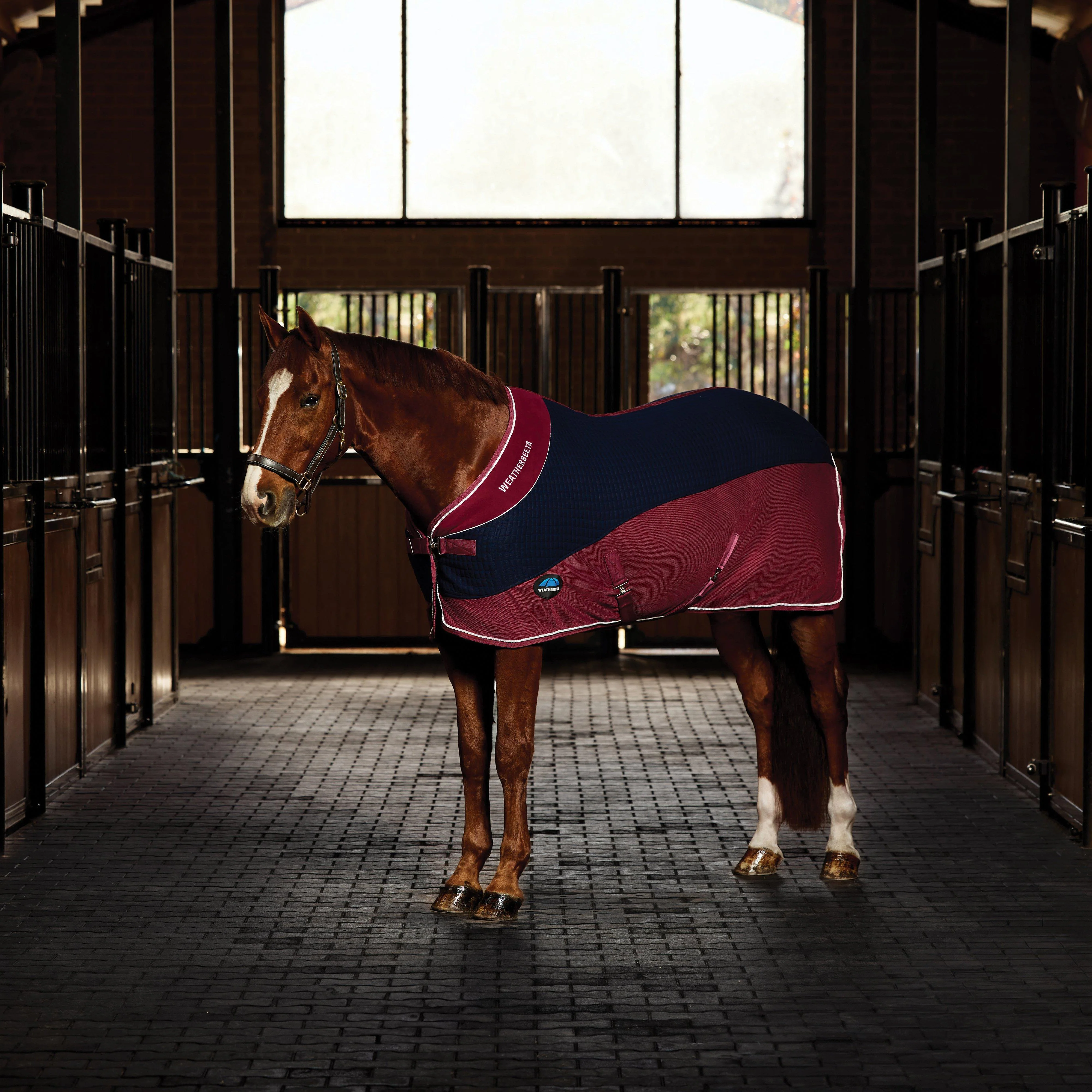 Thermo-Air Cooler Standard Neck Navy - Image 5