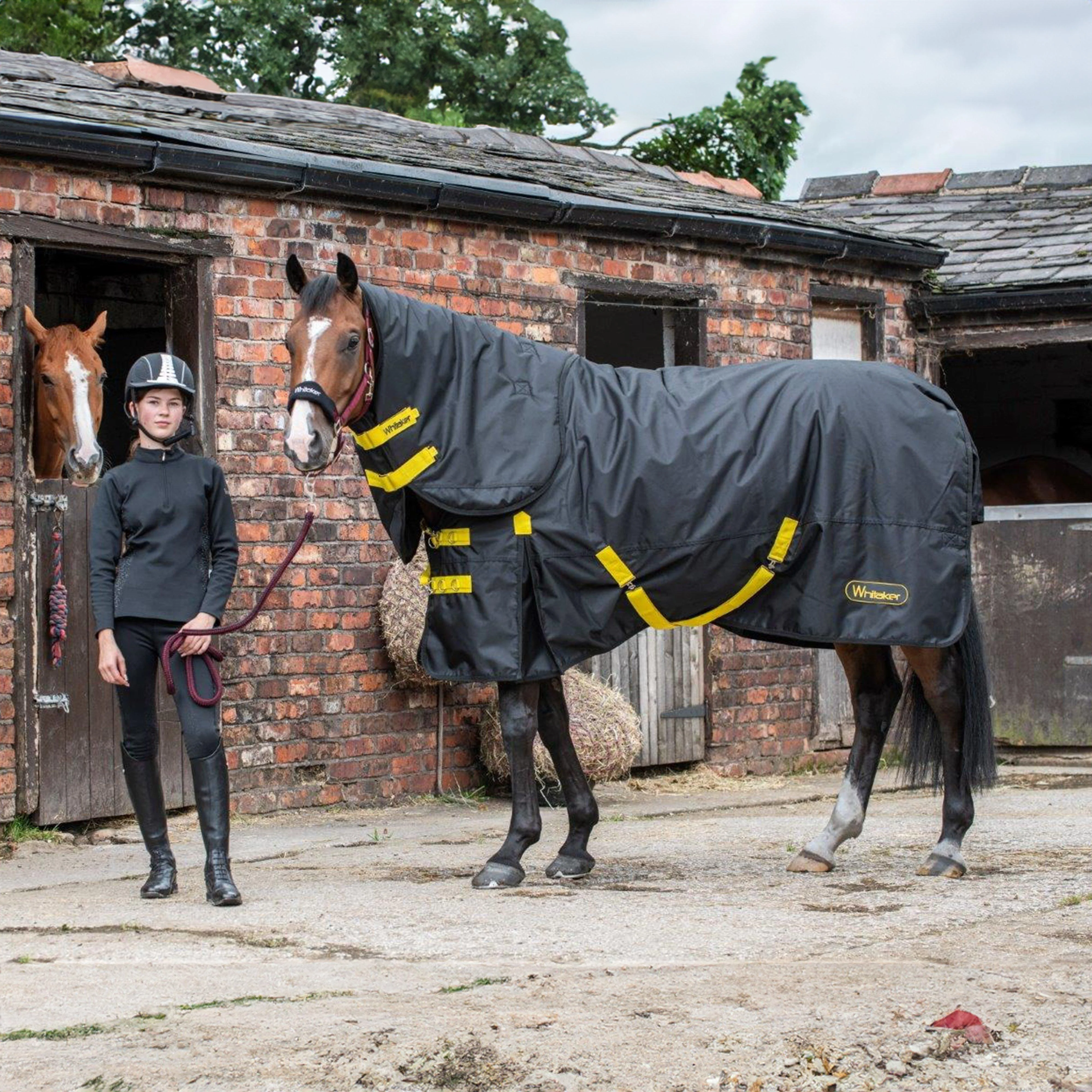 Ludworth Medium Weight 200g Detach-A-Neck Turnout Rug Black/Yellow - Image 2