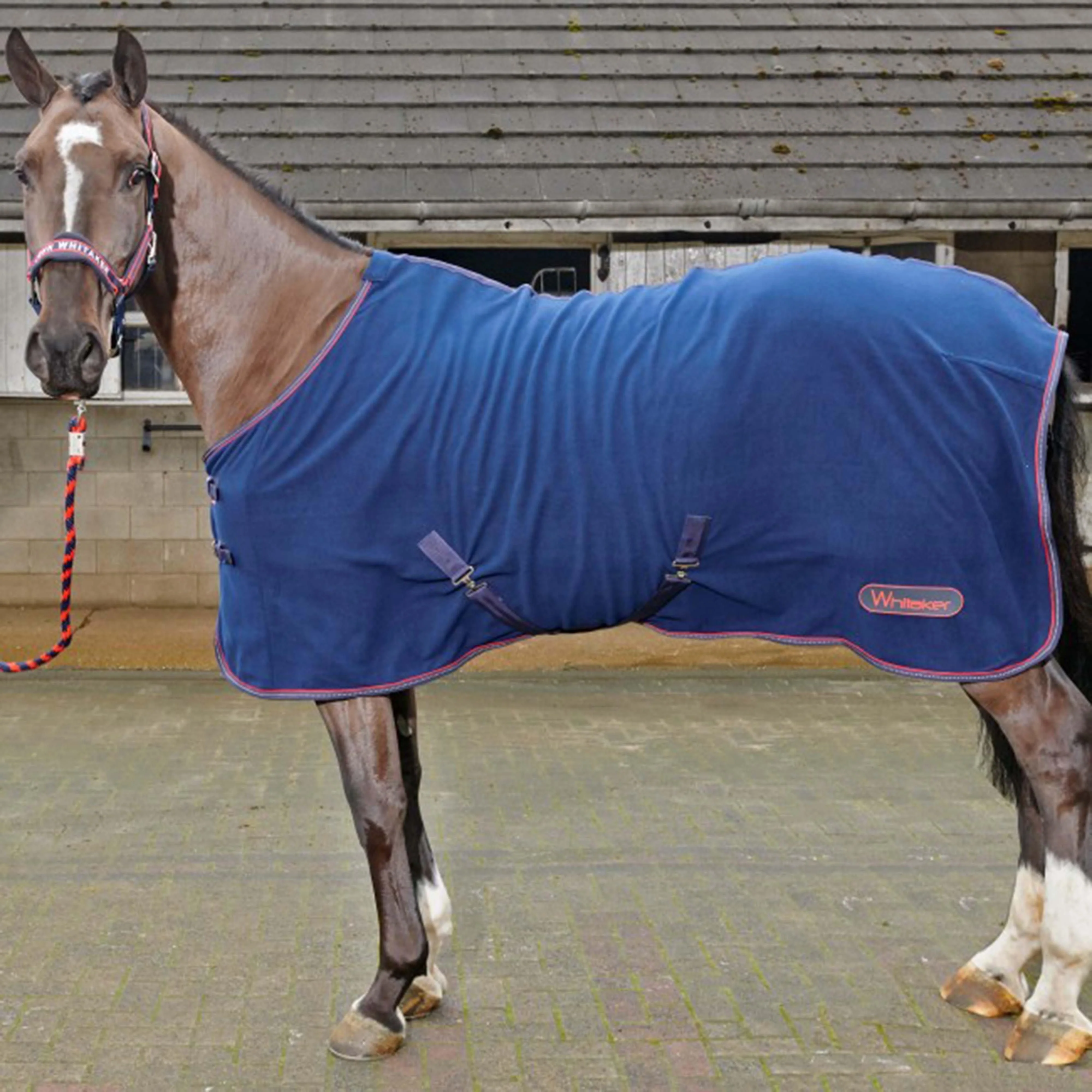 Rastrick Fleece Standard Neck Rug Navy - Image 2